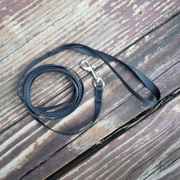 CatRomance Black and Silver Kitten Harness and Leash - Picture 5 of 14